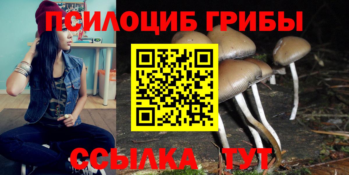 Гуково  Псилоцибиновые грибы Magic Shrooms  наркотики  Вход с VPN 