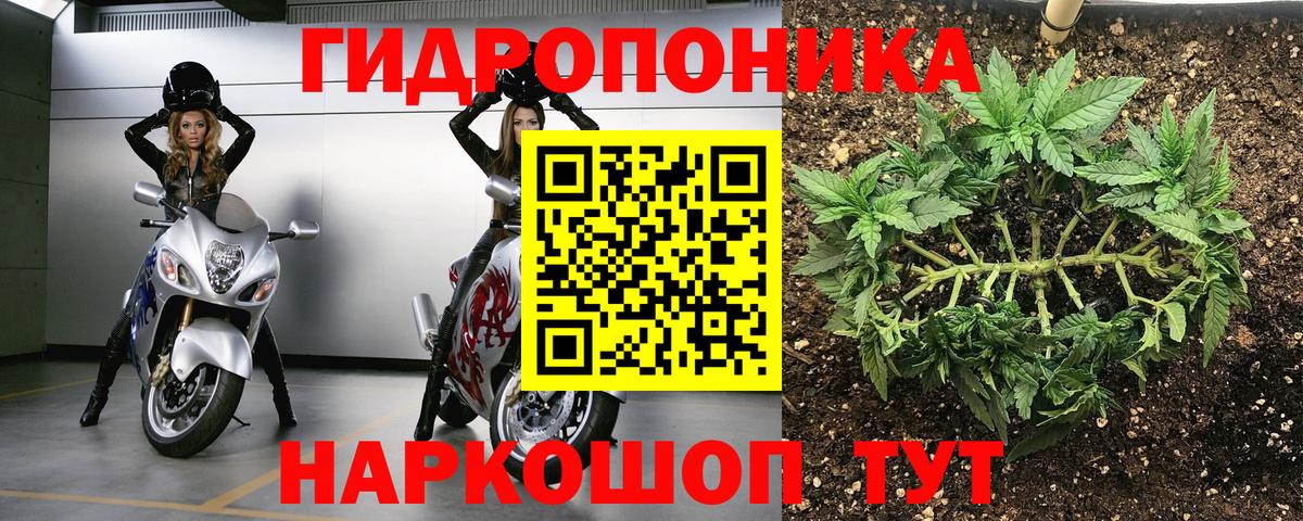 Канабис конопля Гуково